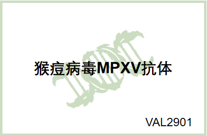 猴痘病毒（MPXV）抗體