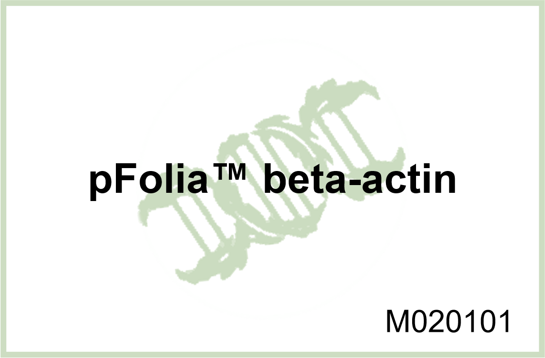 pFolia? beta-actin