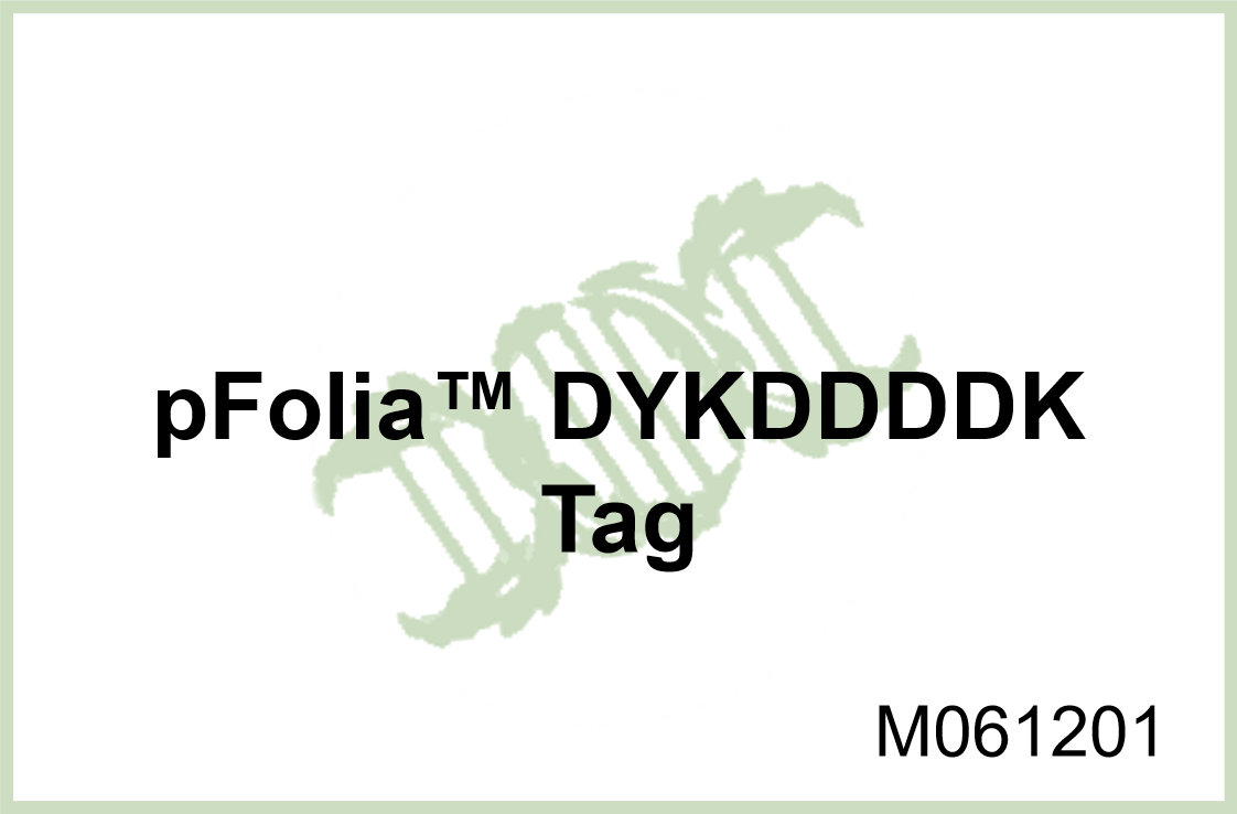 pFolia? DYKDDDDK Tag