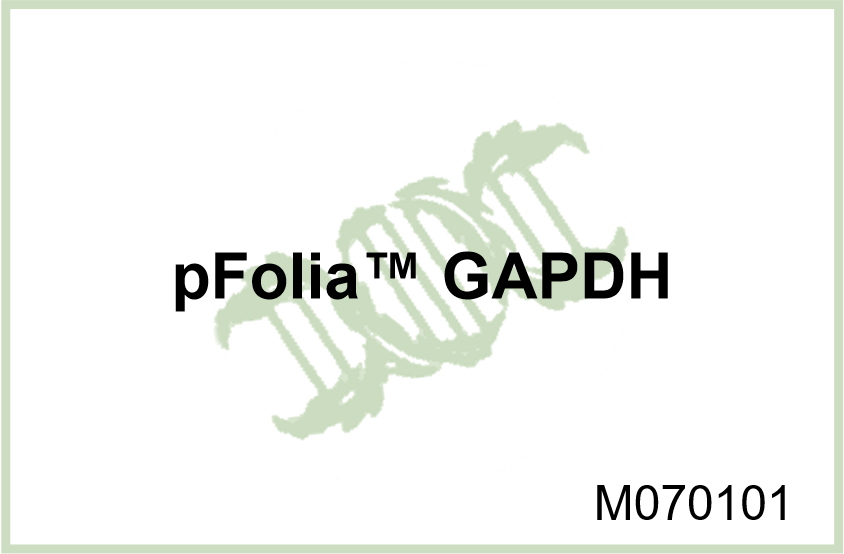 pFolia? GAPDH